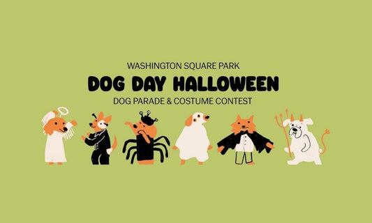 Read Boops for Good: Making an Impact at the Washington Square Park Dog Run Dog Day Halloween Parade by Boogs & Boop.