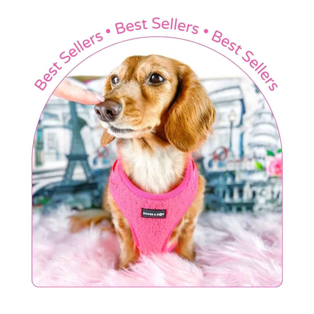 Best Selling Dog Accessories Boogs Boop