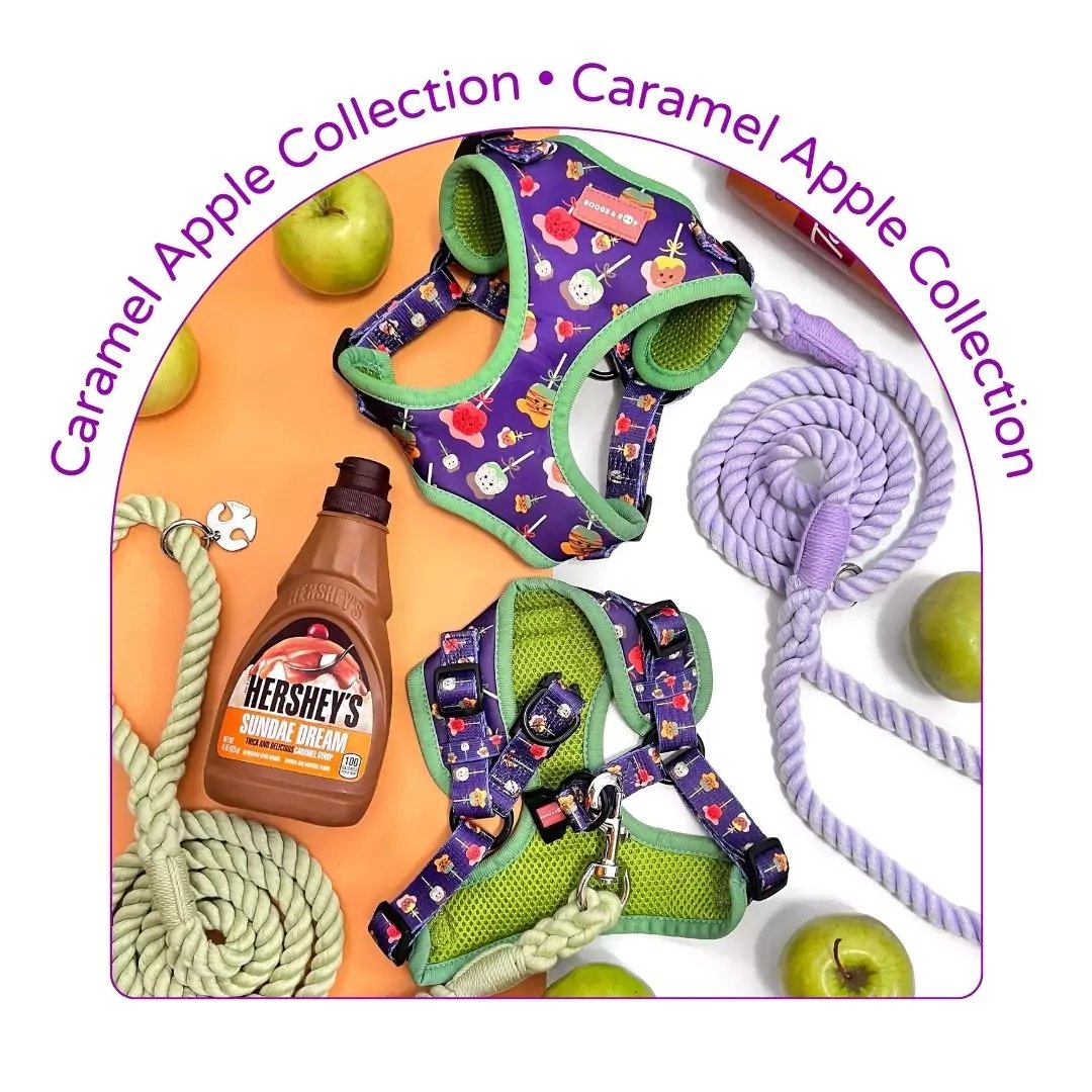 Caramel Apple Dog Accessories Collection | Boogs & Boop