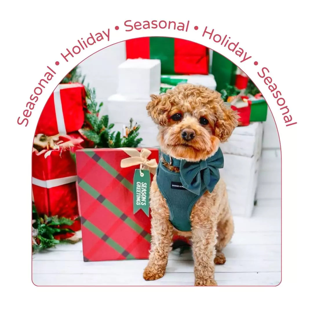 Seasonal Dog Accessories | Boogs & Boop