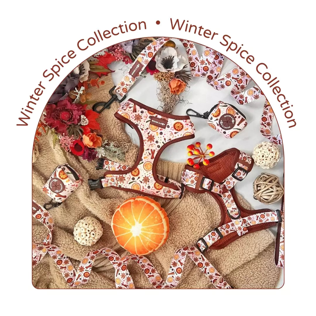 Winter Spice Dog Accessories Collection | Boogs & Boop