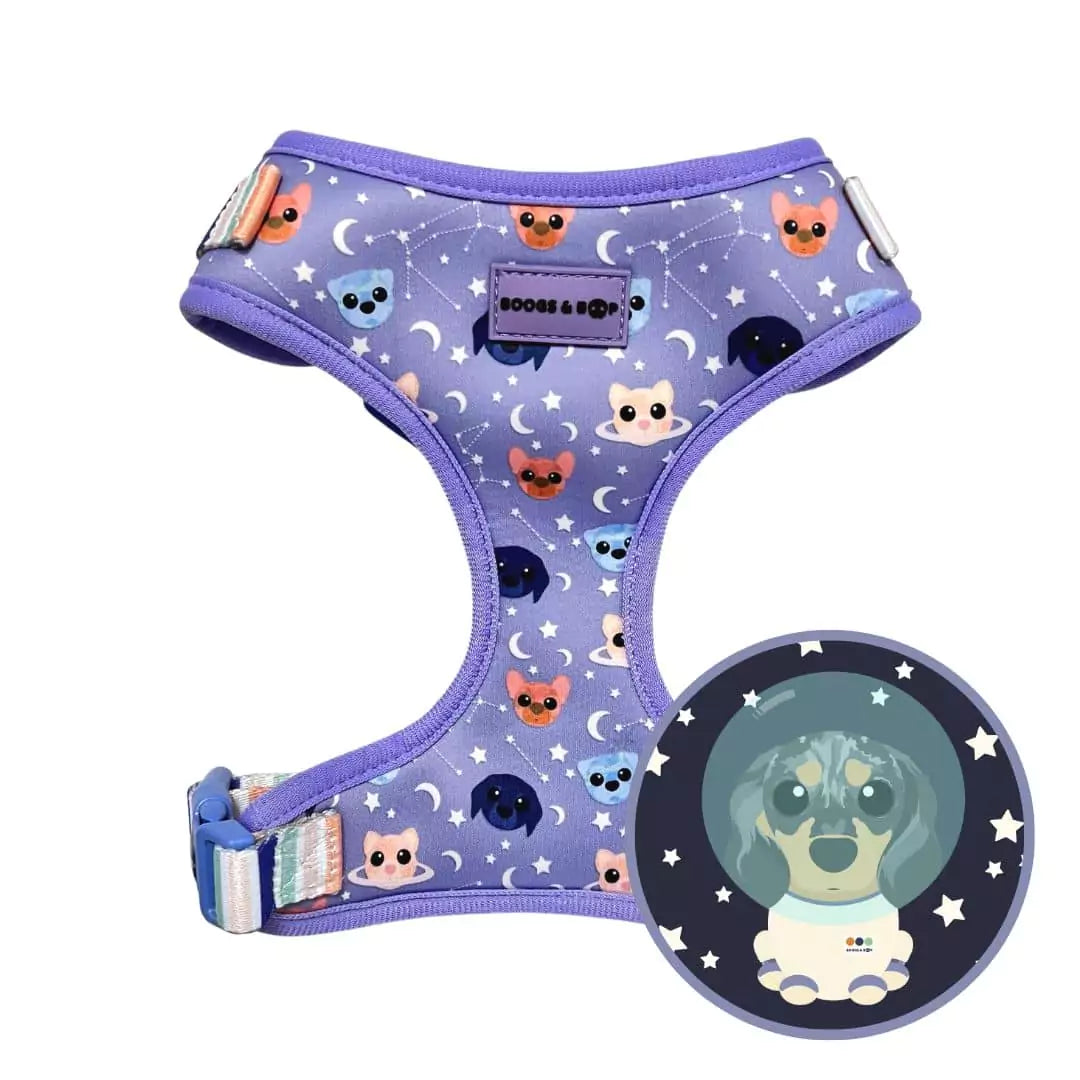 Shop Adjustable Astro-Mutts Dog Harness + Custom Pet Portrait Bundle by Boogs & Boop x Doodling with Fibie.
