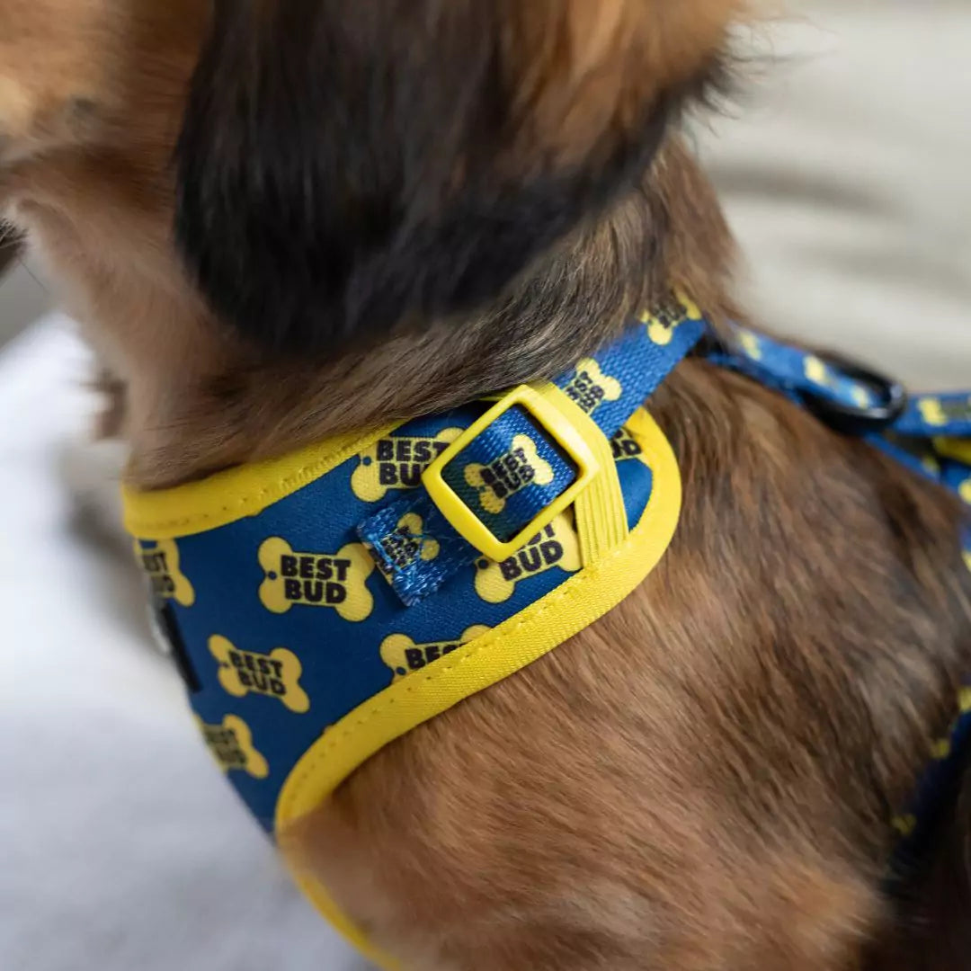 Adjustable Straps on Adjustable Best Bud Dog Harness by Boogs & Boop.