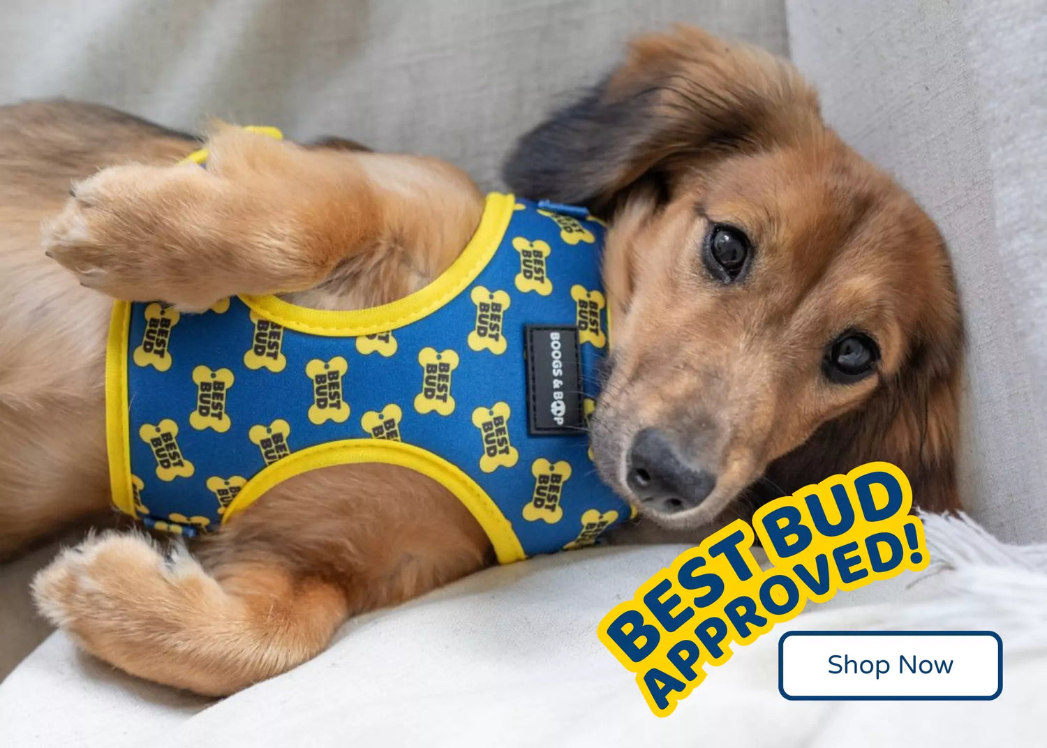 Shop Best Bud Dog Accessories by Boogs & Boop.