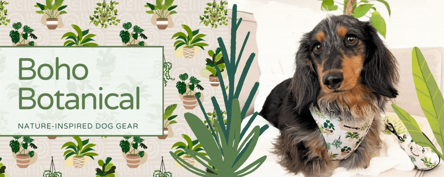 Shop Boho Botanical House Plant-Inspired Dog Accessories Collection and Adjustable Dog Harness by Boogs & Boop.