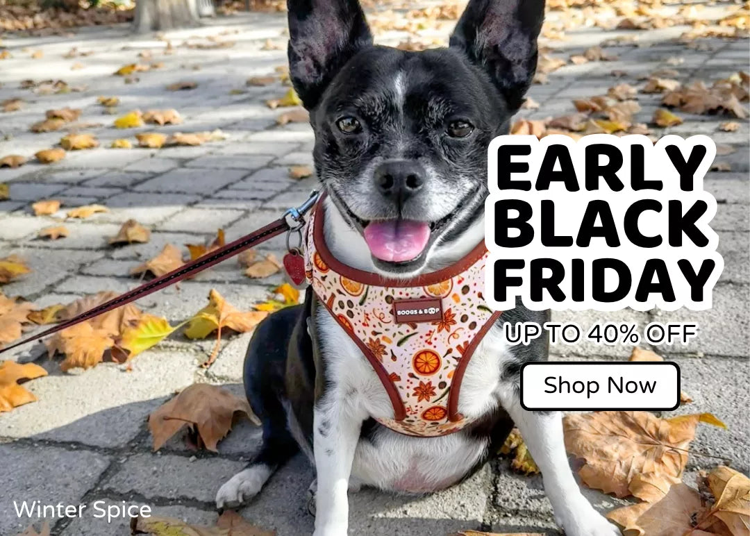 Shop Boogs & Boop's early Black Friday sale.