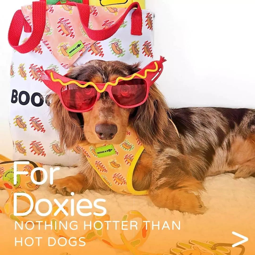 Shop Hot Dog Lover Dachshund Accessories by Boogs & Boop.