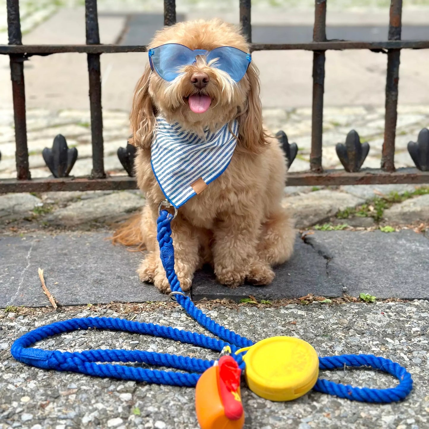 Shop Cotton Rope Dog Leash - Sapphire Blue for Pomapoos by Boogs & Boop.