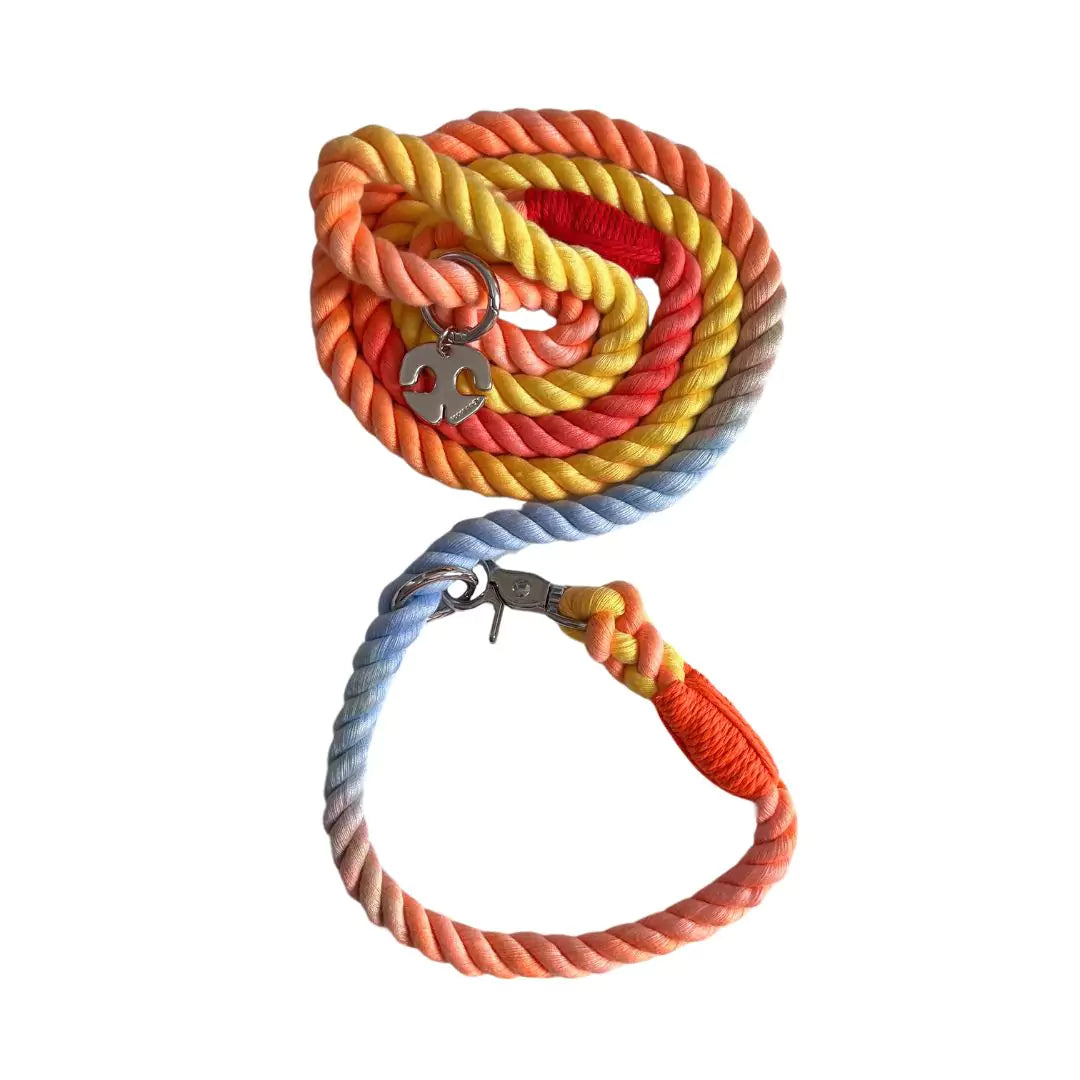 Shop Rope Dog Leash Collar Combo - Rainbow Bright by Boogs & Boop.