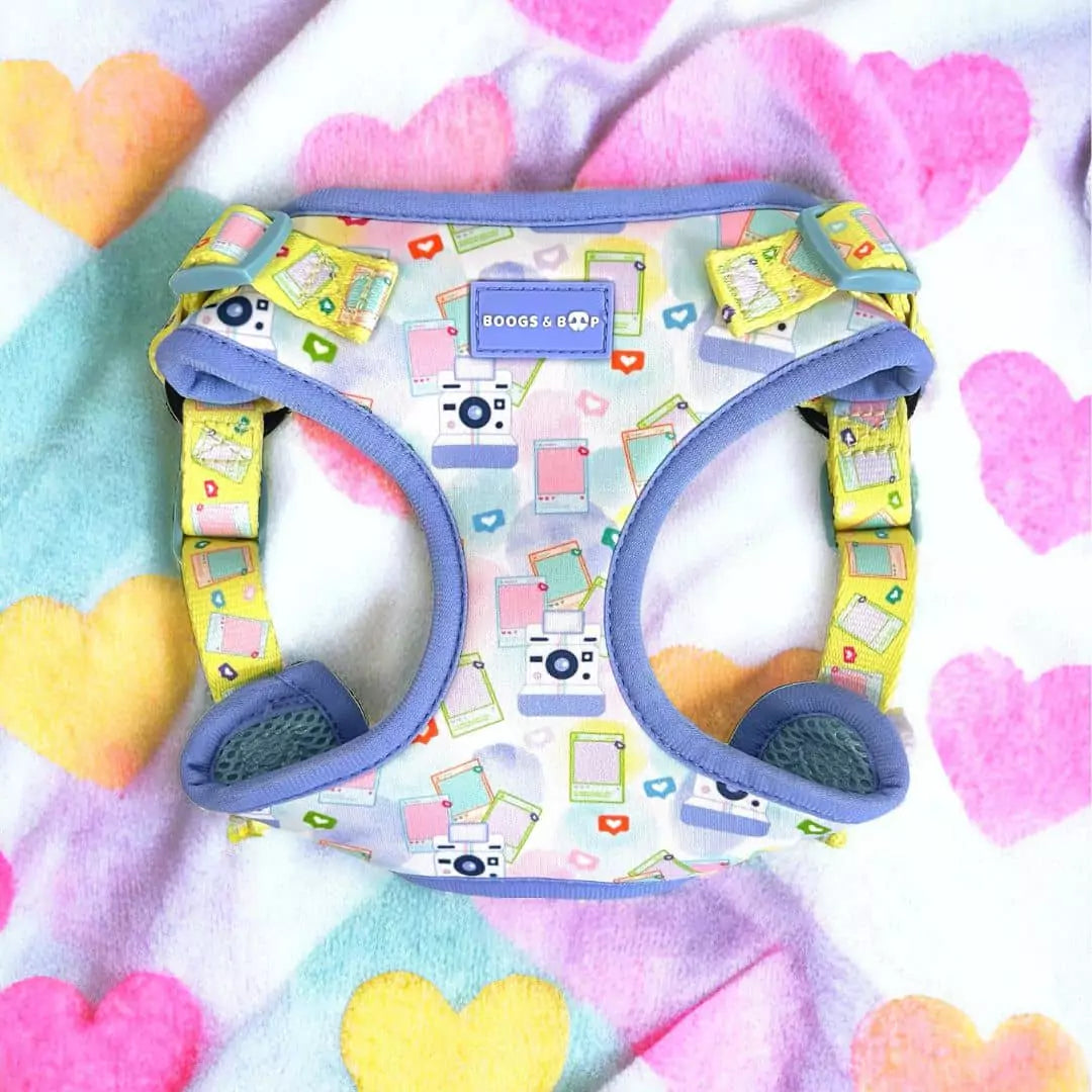 Step-In Pawlaroid Pupfluencer Print Dog Harness - Boogs & Boop