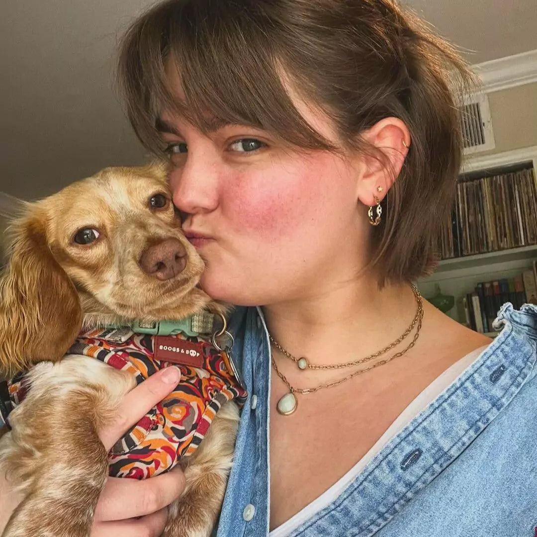 Butter.thedoxie Wearing Step-In Roses Are Red Print Dog Harness by Boogs & Boop with Dog Mom.