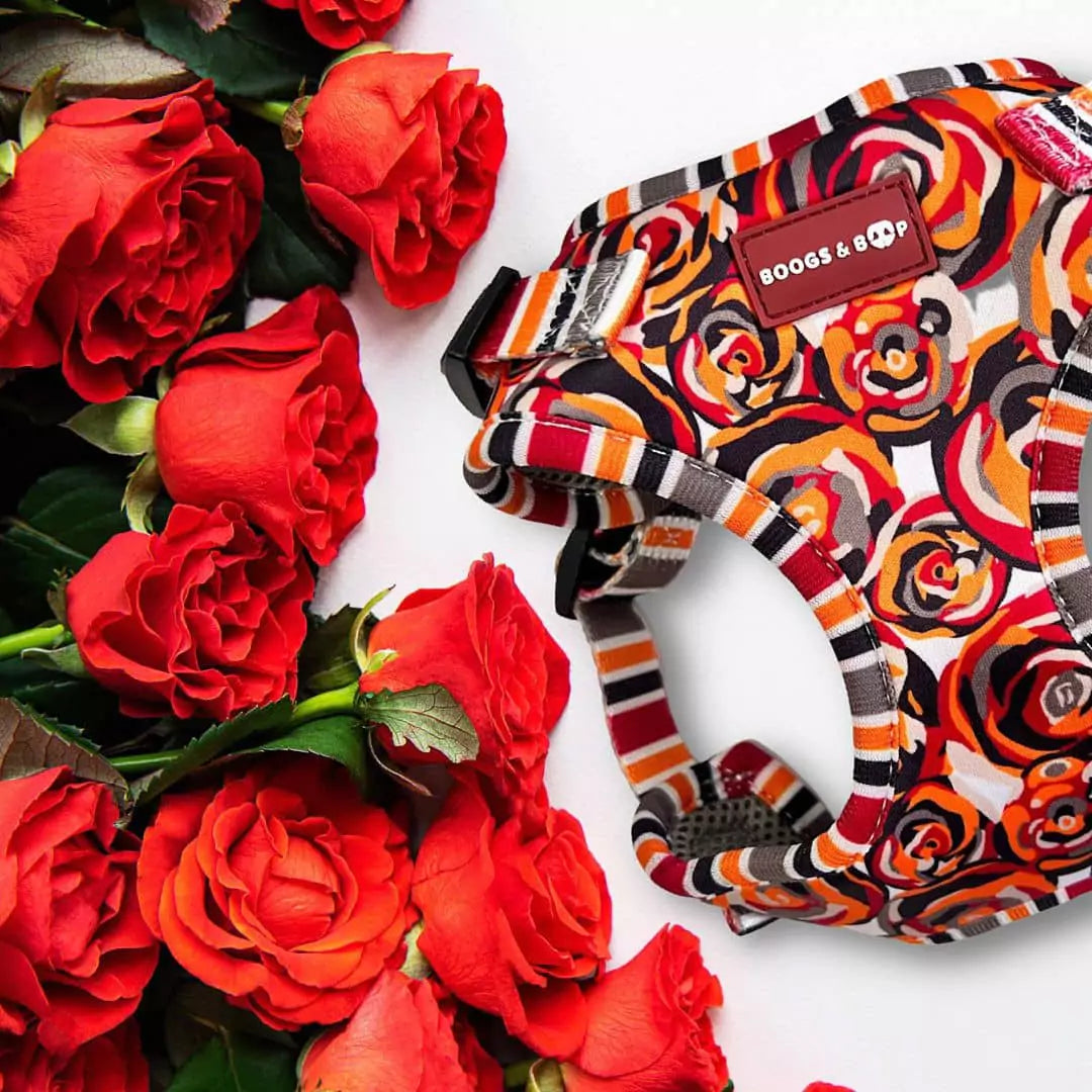 Shop Step-In Roses Are Red Floral Print Dog Harness by Boogs & Boop.