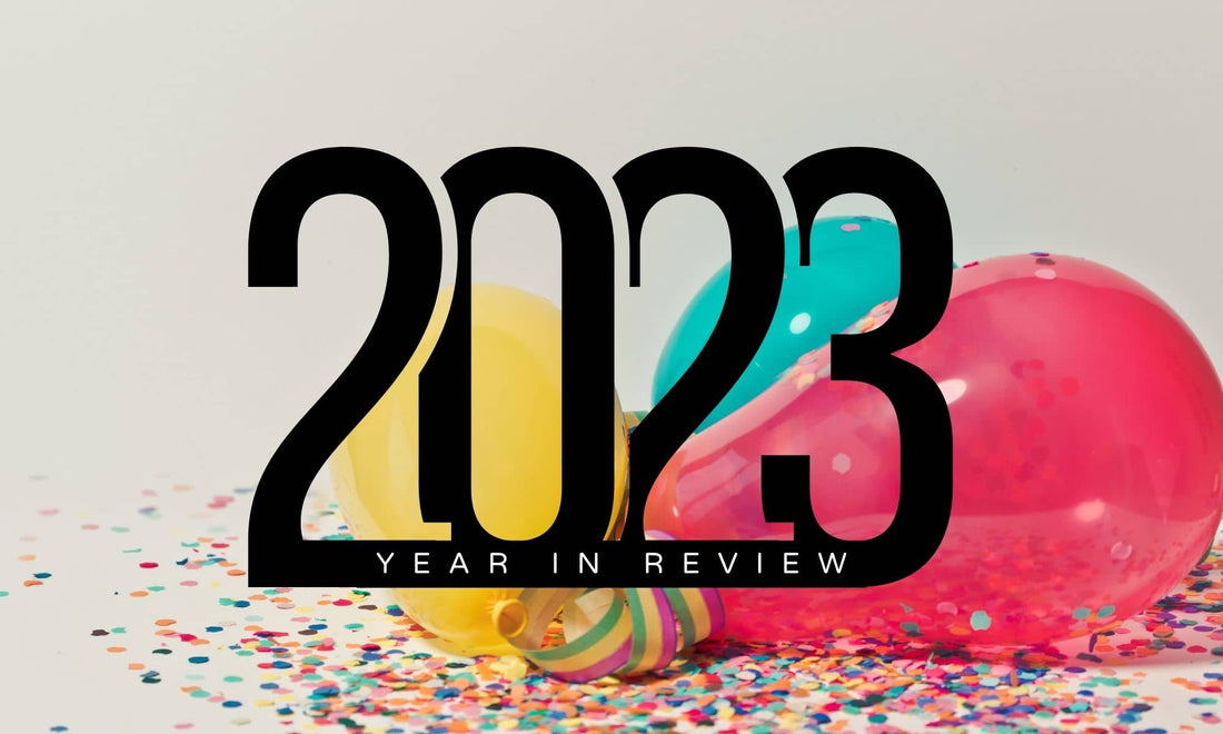 Read 2023 Year in Review – Dog Accessories, Collabs, & Giving Back by Boogs & Boop.