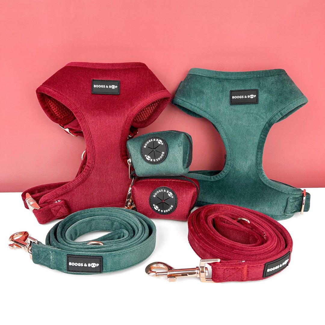 Corduroy Harness, Leash, and Waste Bag Dispenser - Berry and Moss