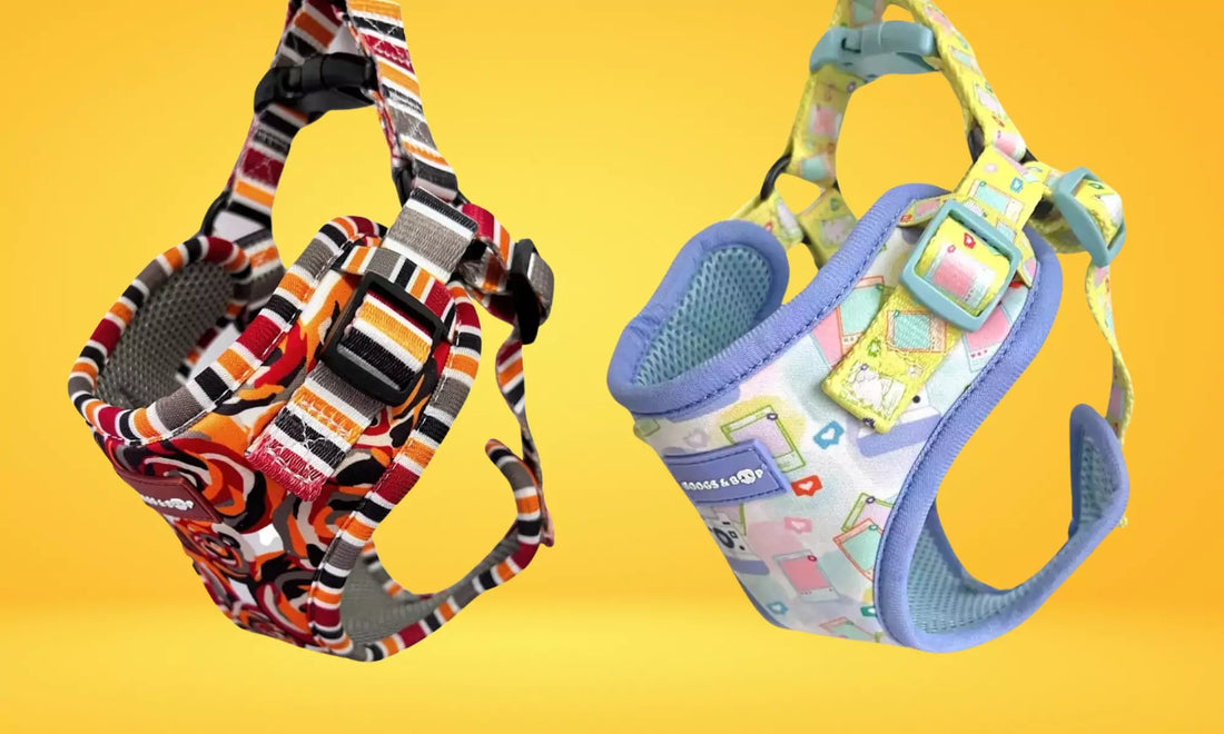 Read Are Step-In Dog Harnesses Truly Safe and Secure for Your Pup? by Boogs & Boop.