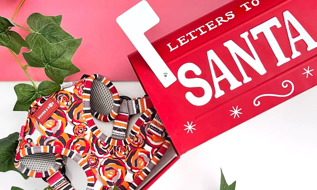 Read 5 Dog Models Share Their Holiday Gift Picks Blog.