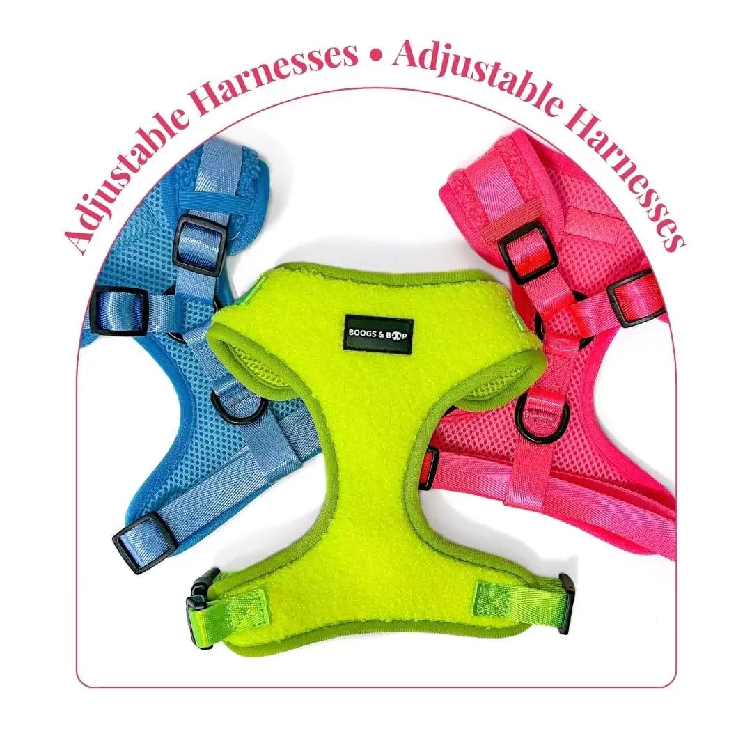 Adjustable Harnesses for Dogs