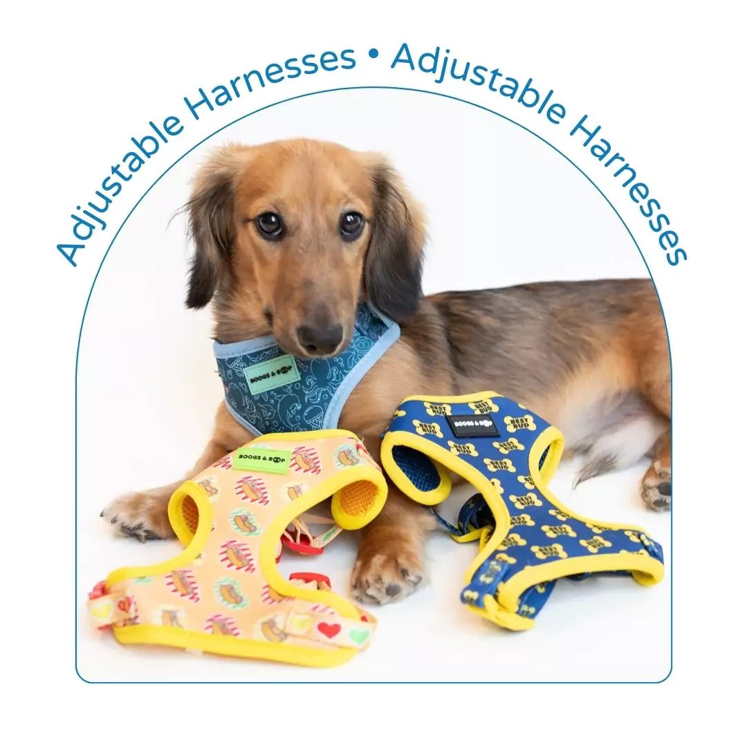 Adjustable Harnesses for Dogs