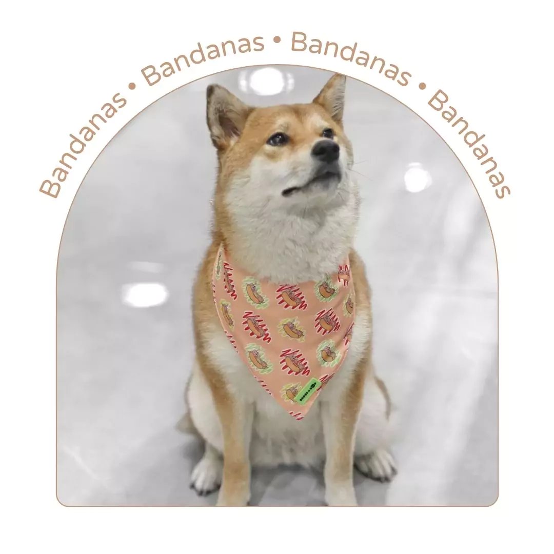 Dog Bandanas