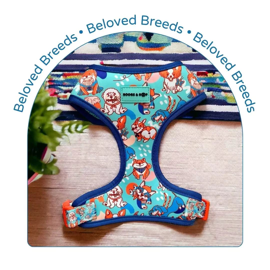 Beloved Breeds Dog Accessories Collection