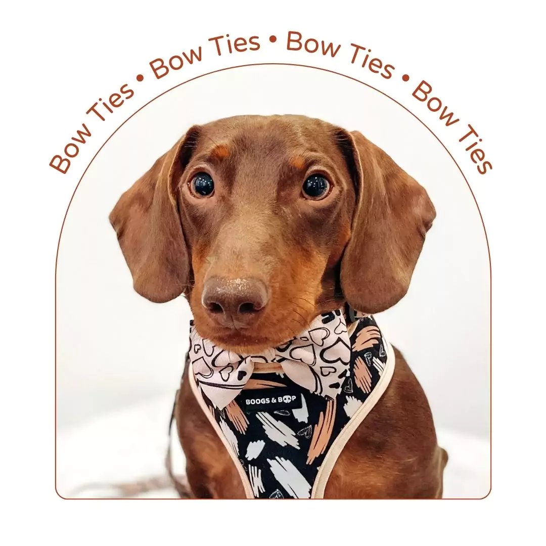 Bow Ties for Dogs