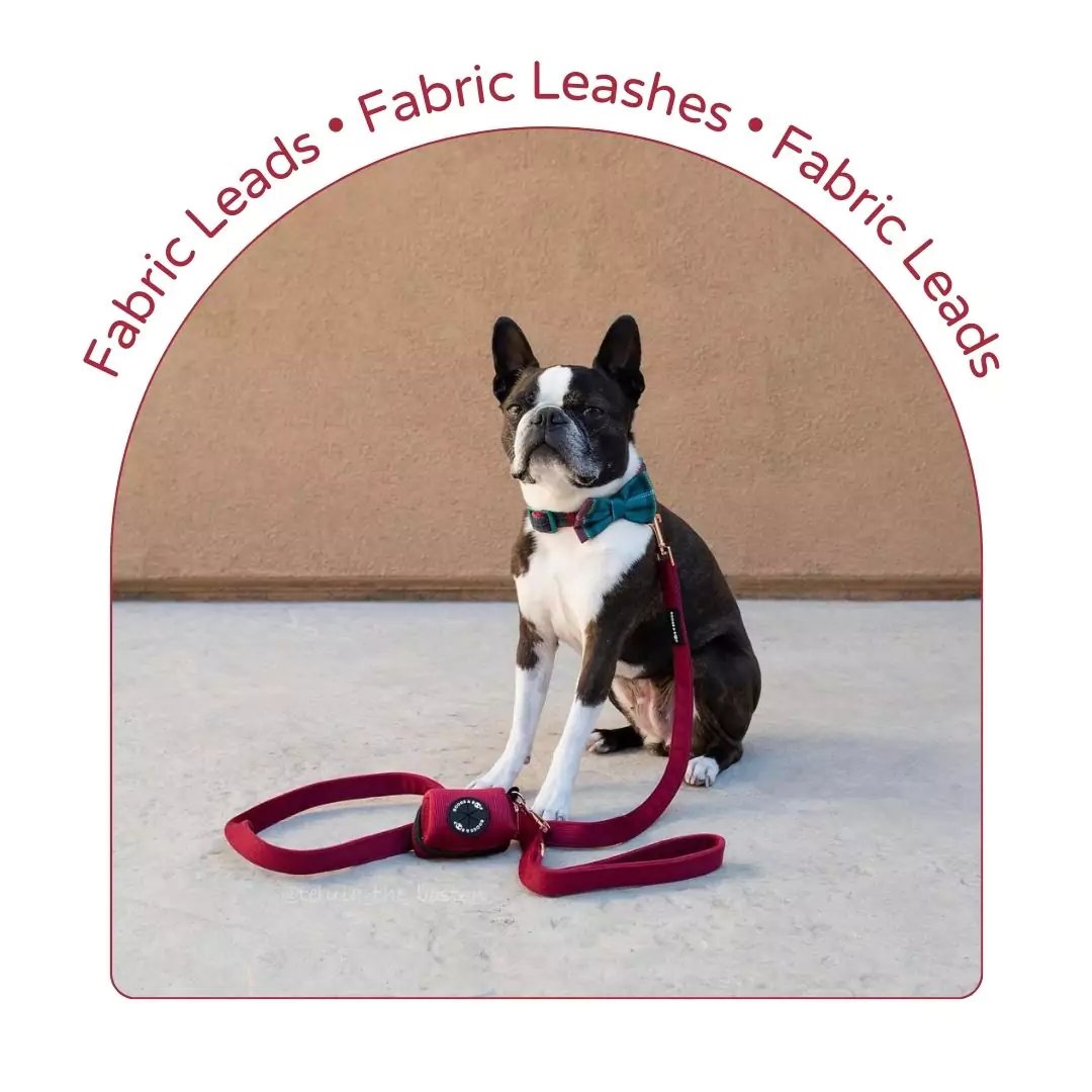 Dog Leashes - Fabric