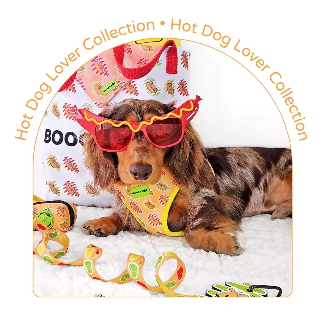 Hot Dog Lover Dog Accessories Collection