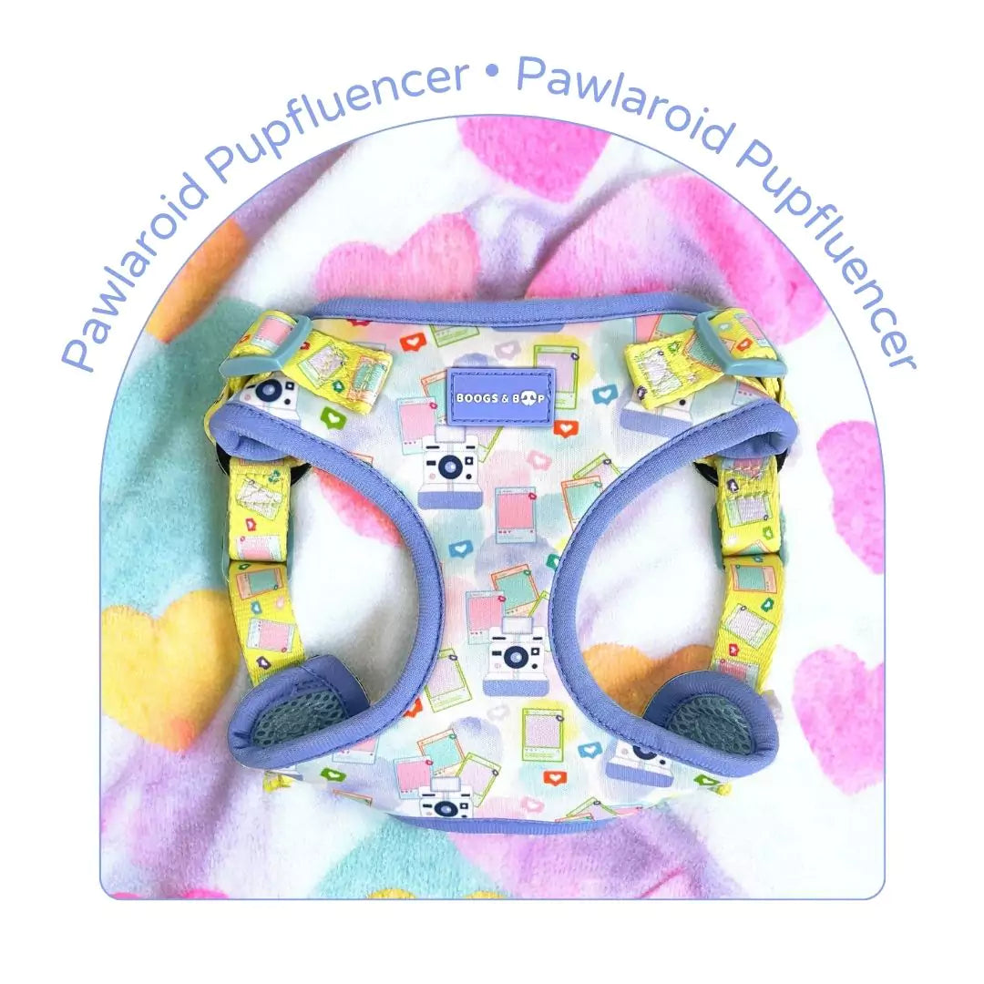 Pawlaroid Pupfluencer Dog Accessories Collection