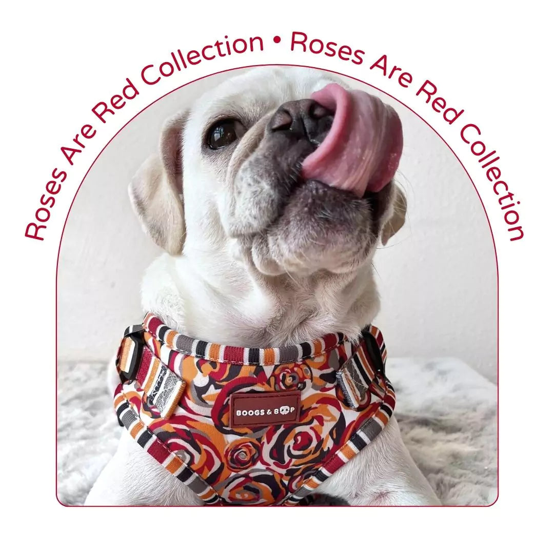 Roses Are Red Dog Accessories Collection
