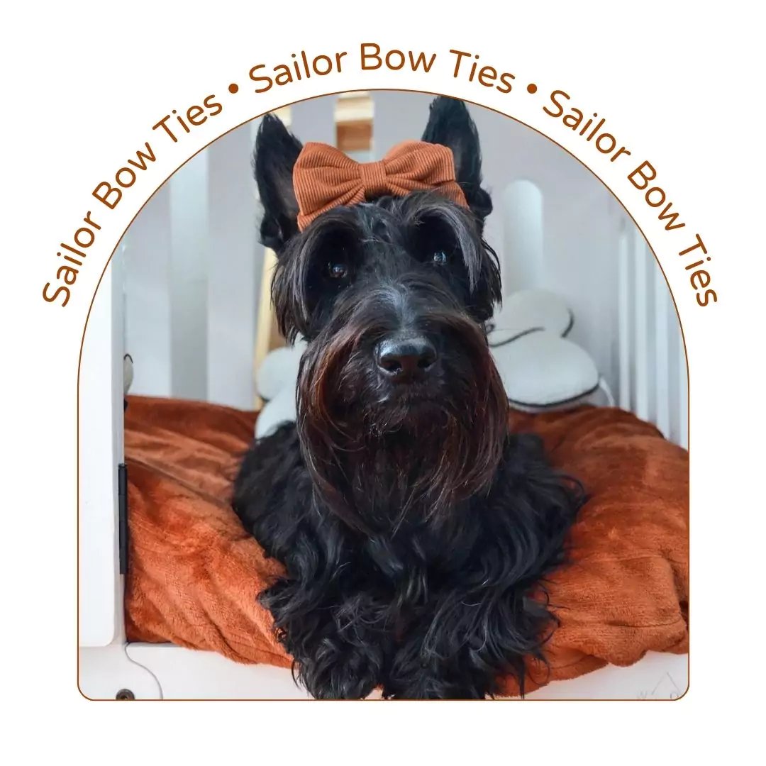 Sailor Bow Ties for Dogs