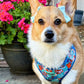 Corgi Wearing Adjustable Beloved Breeds Dog Harness by Boogs & Boop.