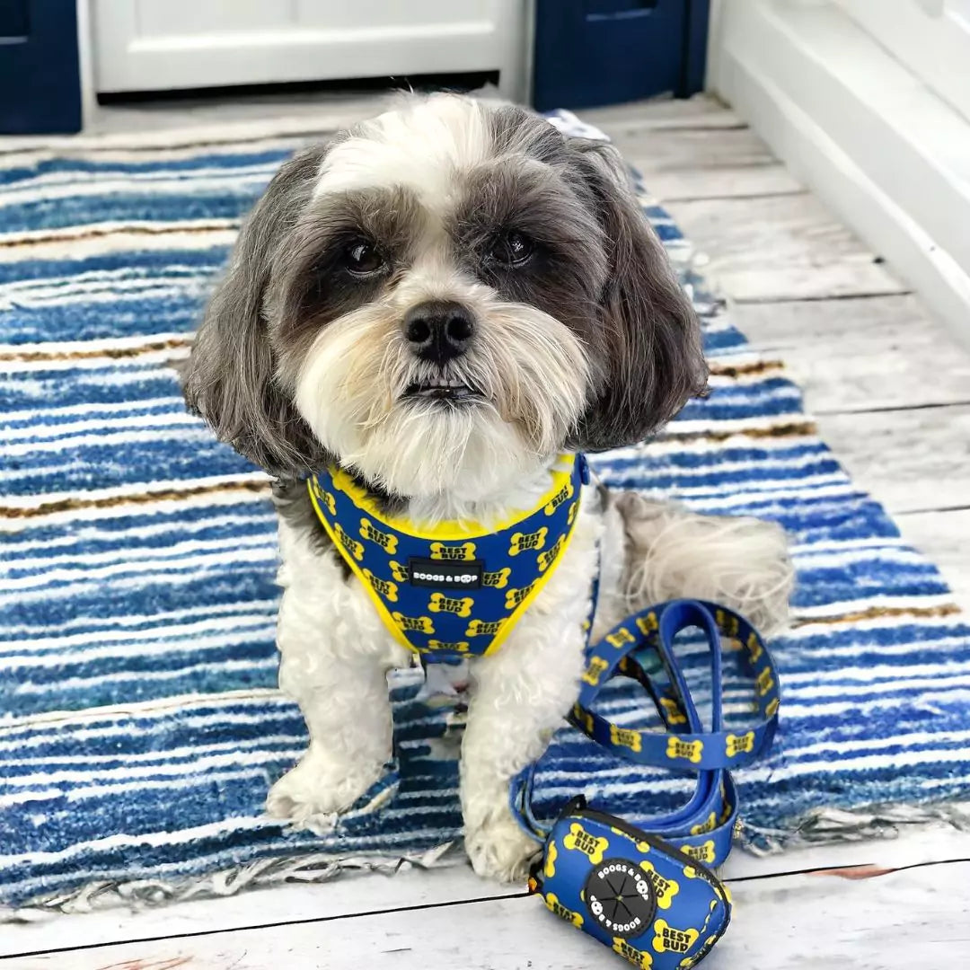 Shih Tzu Wearing Adjustable Best Bud Dog Harness With Matching Dog Leash and Waste Bag Holder by Boogs & Boop.