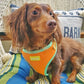 Cocoa.and.peanut Wearing Adjustable Summer Color Block Dog Harness - Sherbet Orange by Boogs & Boop.