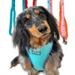 Luckoftheisles Wearing Adjustable Summer Color Block Dog Harness - Surfrider Blue by Boogs & Boop.