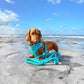 Rubi.star19 Wearing Adjustable Summer Color Block Dog Harness - Surfrider Blue by Boogs & Boop.