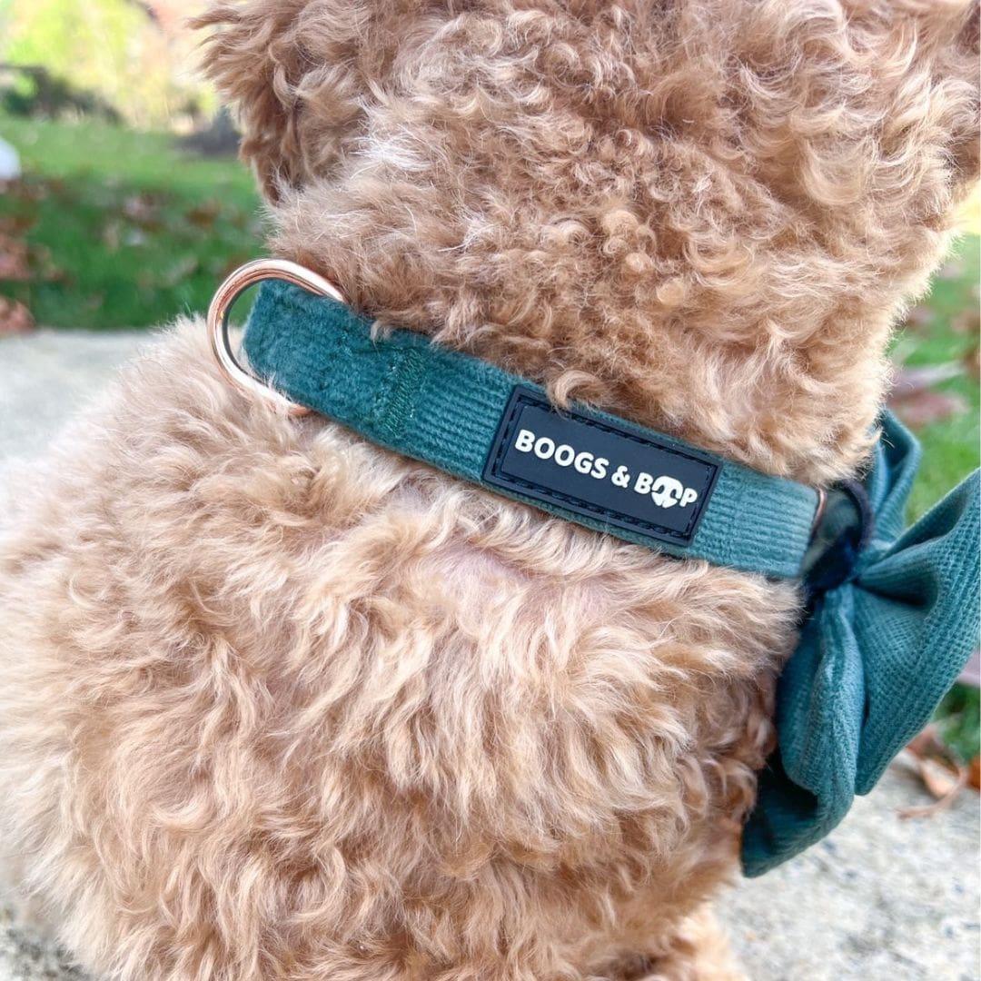 Corduroy Dog Collar - Rust