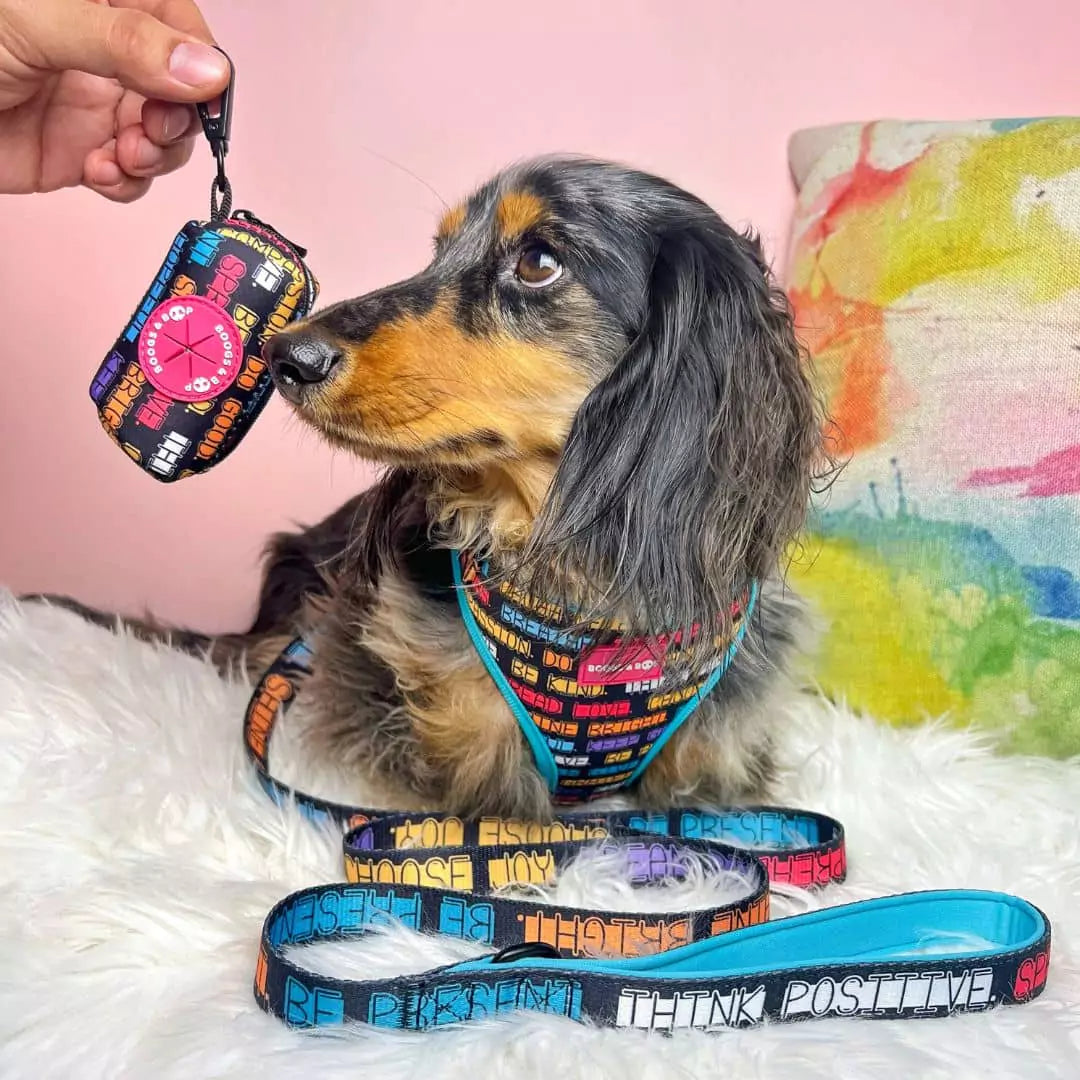 Luckoftheisles Dachshund Wearing Adjustable Pawsitive Affirmations Dog Harness by Boogs & Boop.