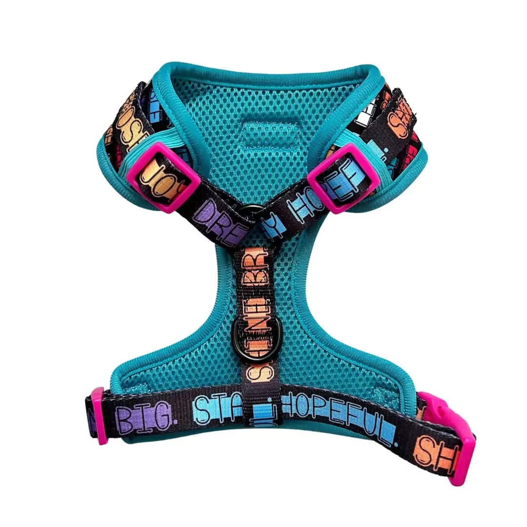 Shop Adjustable Pawsitive Affirmations Harness by Boogs & Boop.