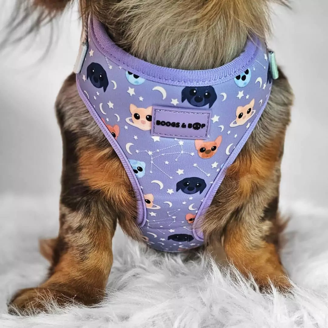 Adjustable Astro-Mutts Dog Harness Worn by @wafflesthehotdog.