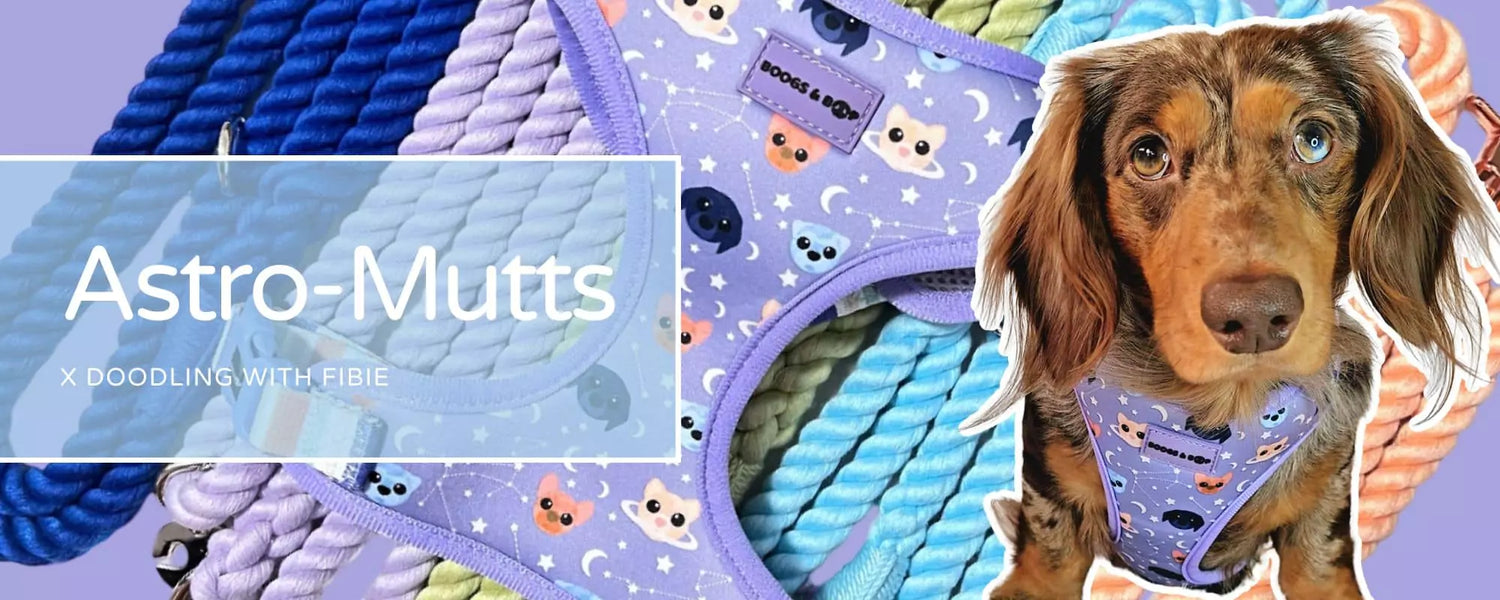 Shop New Astro-Mutts Dog Accessories Collection by Boogs & Boop x Doodling with Fibie.