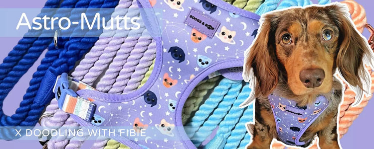 Shop New Astro-Mutts Dog Accessories Collection by Boogs & Boop x Doodling with Fibie.