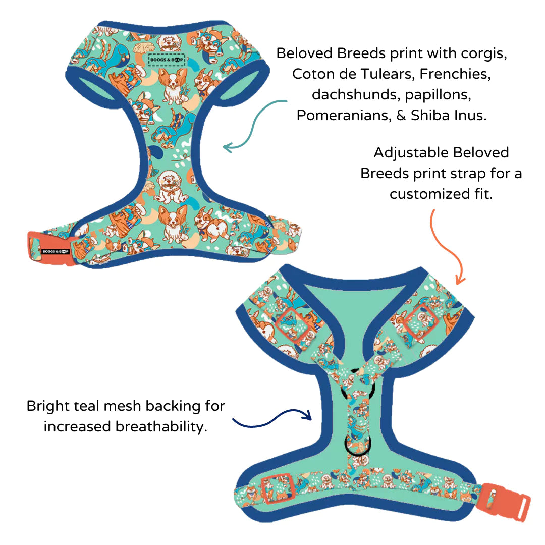 View Adjustable Beloved Breeds Dog Harness Features & Design by Boogs & Boop.