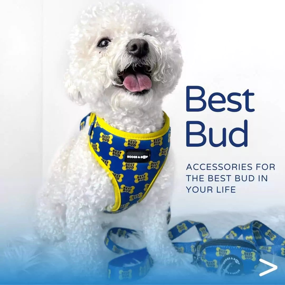 Shop Best Bud (Buy) Dog Accessories Collection by Boogs & Boop.