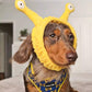 Wafflesthehotdog Wearing Boogs & Boop Best Bud Dog Harness and Halloween Headband.