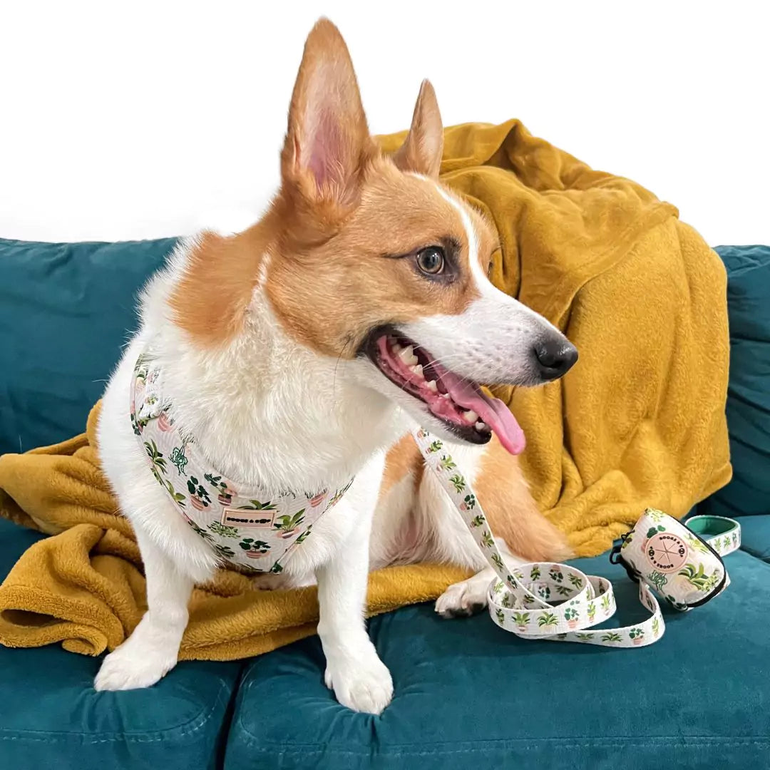 Smiling Corgi Wearing Adjustable Boho Botanical Plant Neoprene Dog Harness With Matching Leash and Waste Bag Holder by Boogs & Boop.