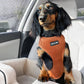 Peaches Dachshund Wearing Boogs & Boop Corduroy Dog Harness - Rust Orange.