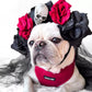 Skythepug21 Wearing Boogs & Boop Corduroy Dog Harness in Berry Red for Halloween.