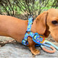 Personalized Strap With Dachshund Name on Step-in I Heart You Dog Harness by Boogs & Boop.