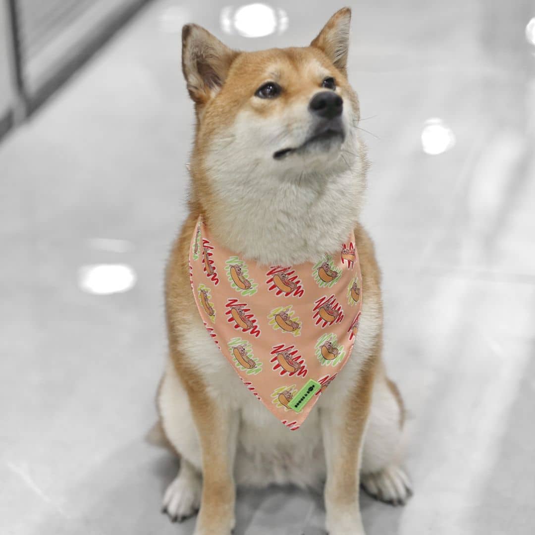 Shiba Inu Wearing Hot Dog Lover Tie-on Bandana by Boogs & Boop.