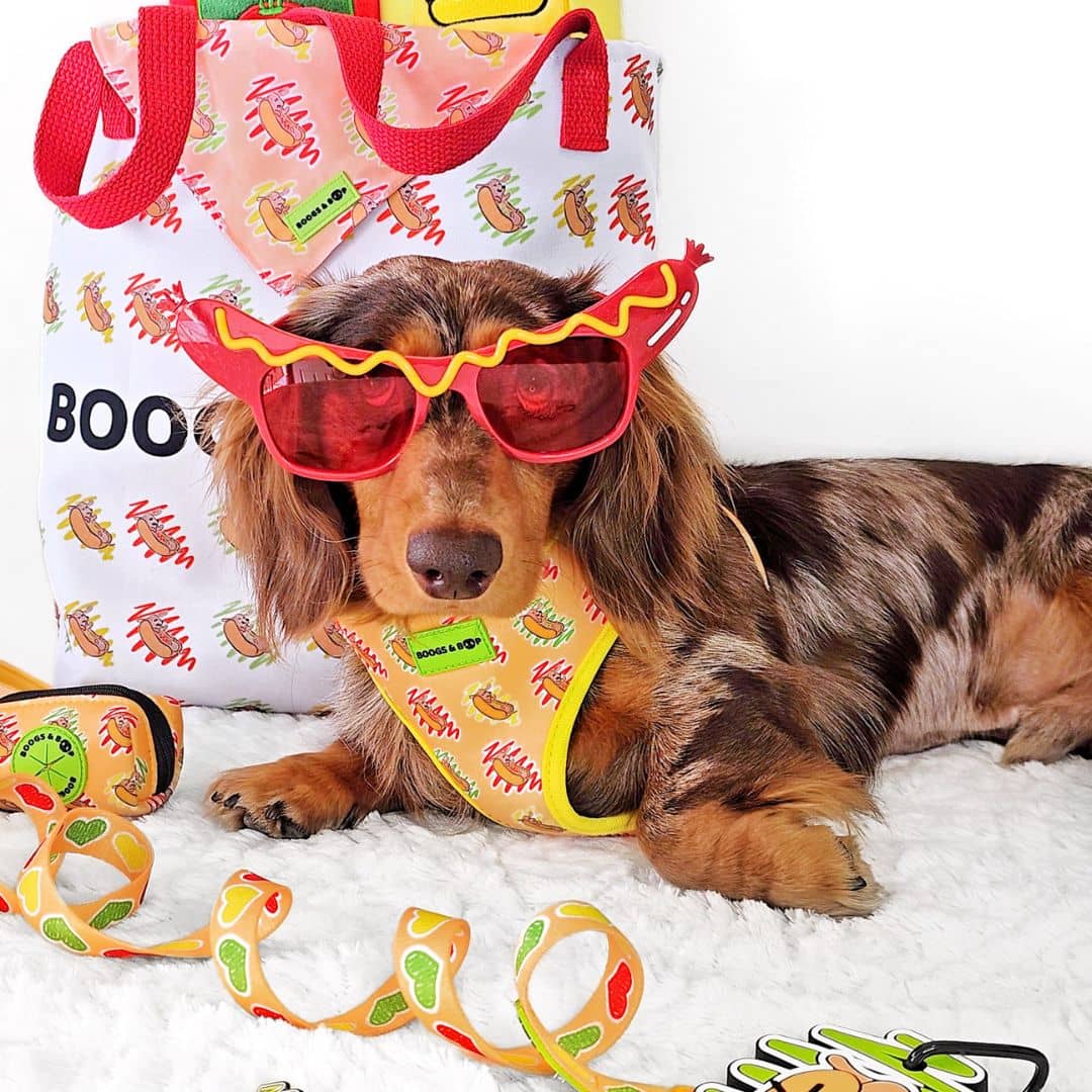 Adjustable Hot Dog Lover Dog Harness by Boogs & Boop worn by @wafflesthehotdog.